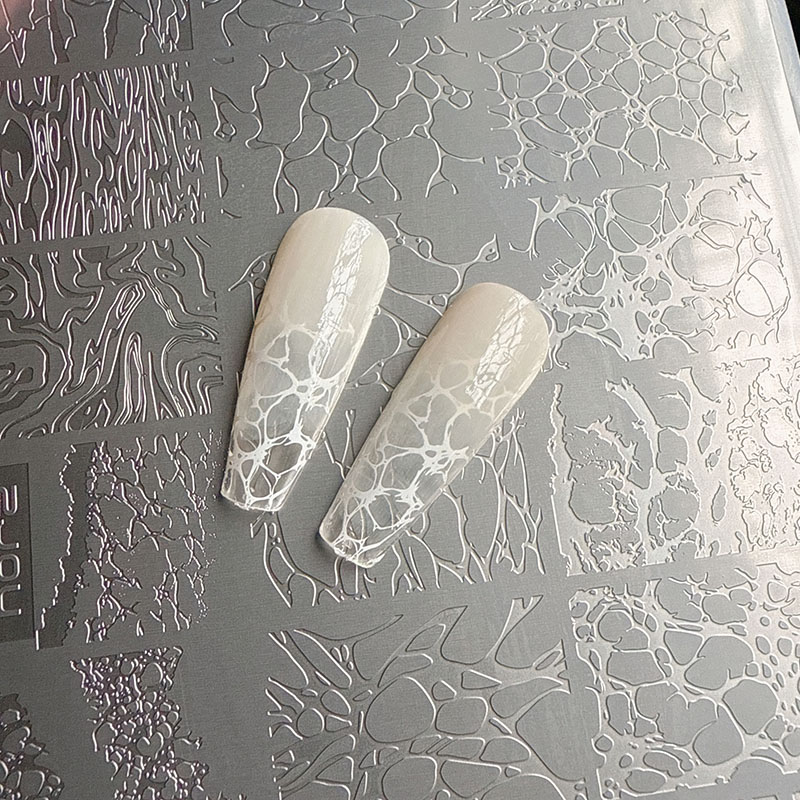 XMQ NAIL ART STAMPING PLATES B - Nail Art Leopard review and price